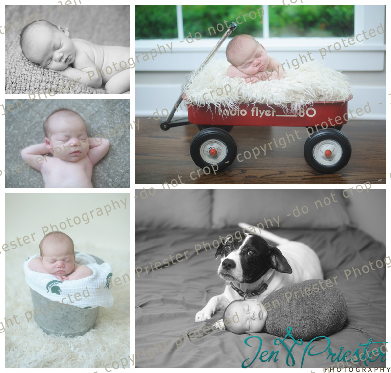 Ann Arbor Newborn Photoshoot