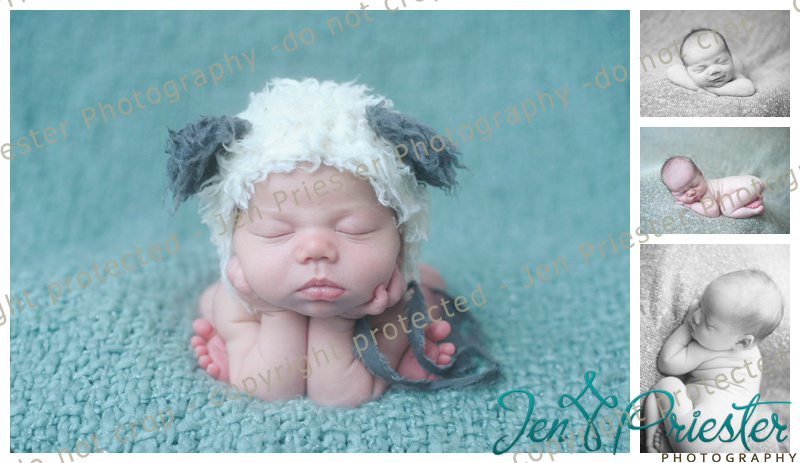 Ann Arbor Newborn Photoshoot