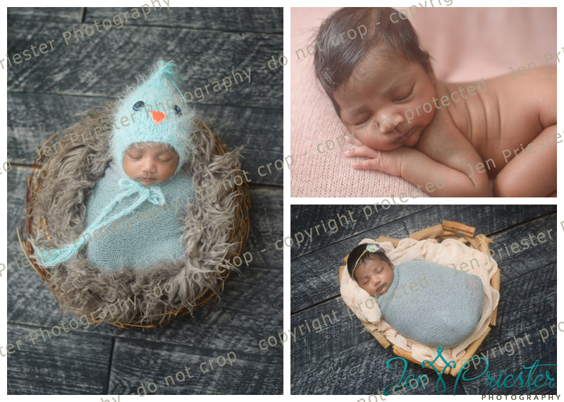 Bird prop newborn photoshoot