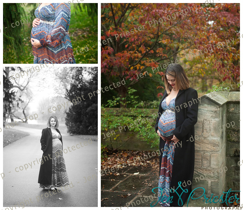 Michigan Maternity Photographer