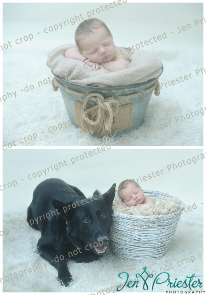 Southfield MI Newborn Photos