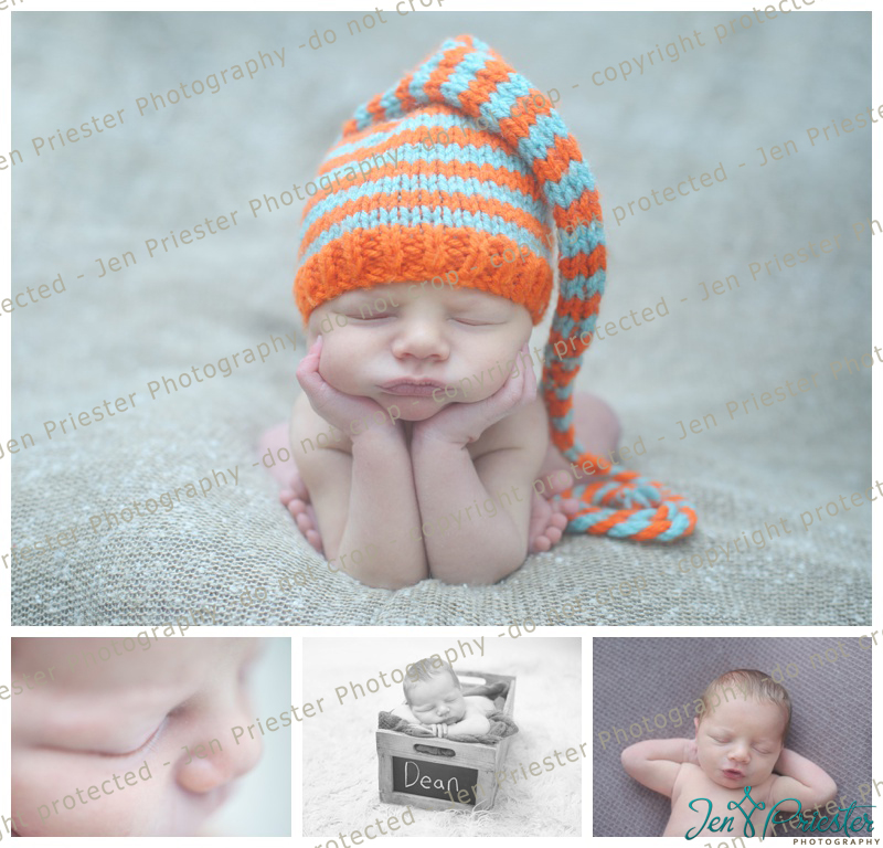 Michigan Newborn Photography