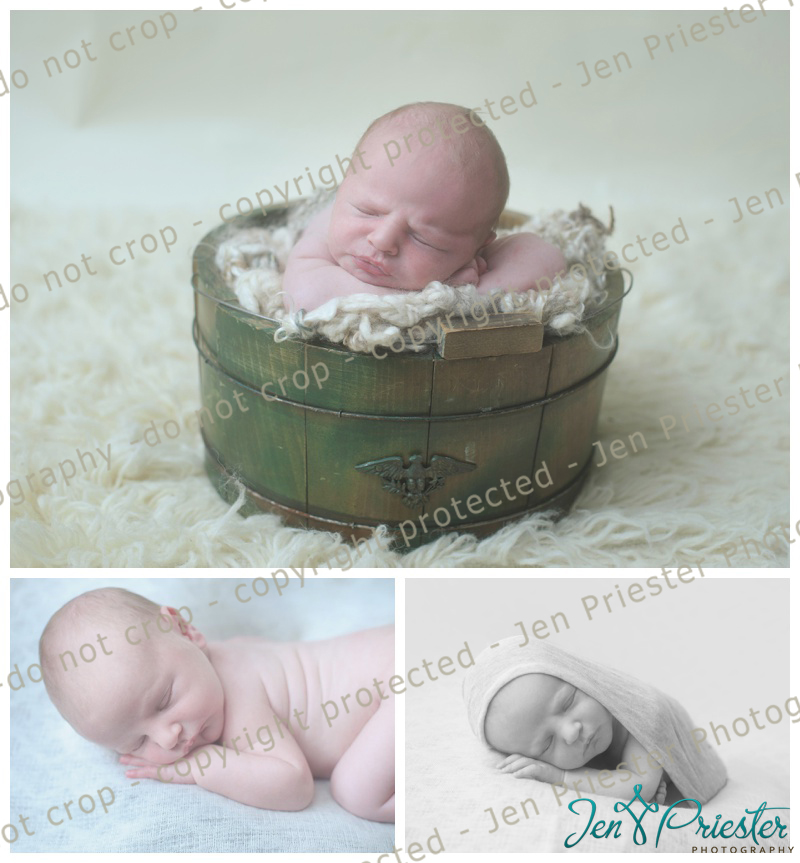 Southfield Newborn Photographer