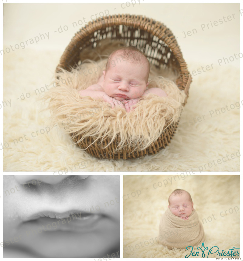 Greenville South Carolina