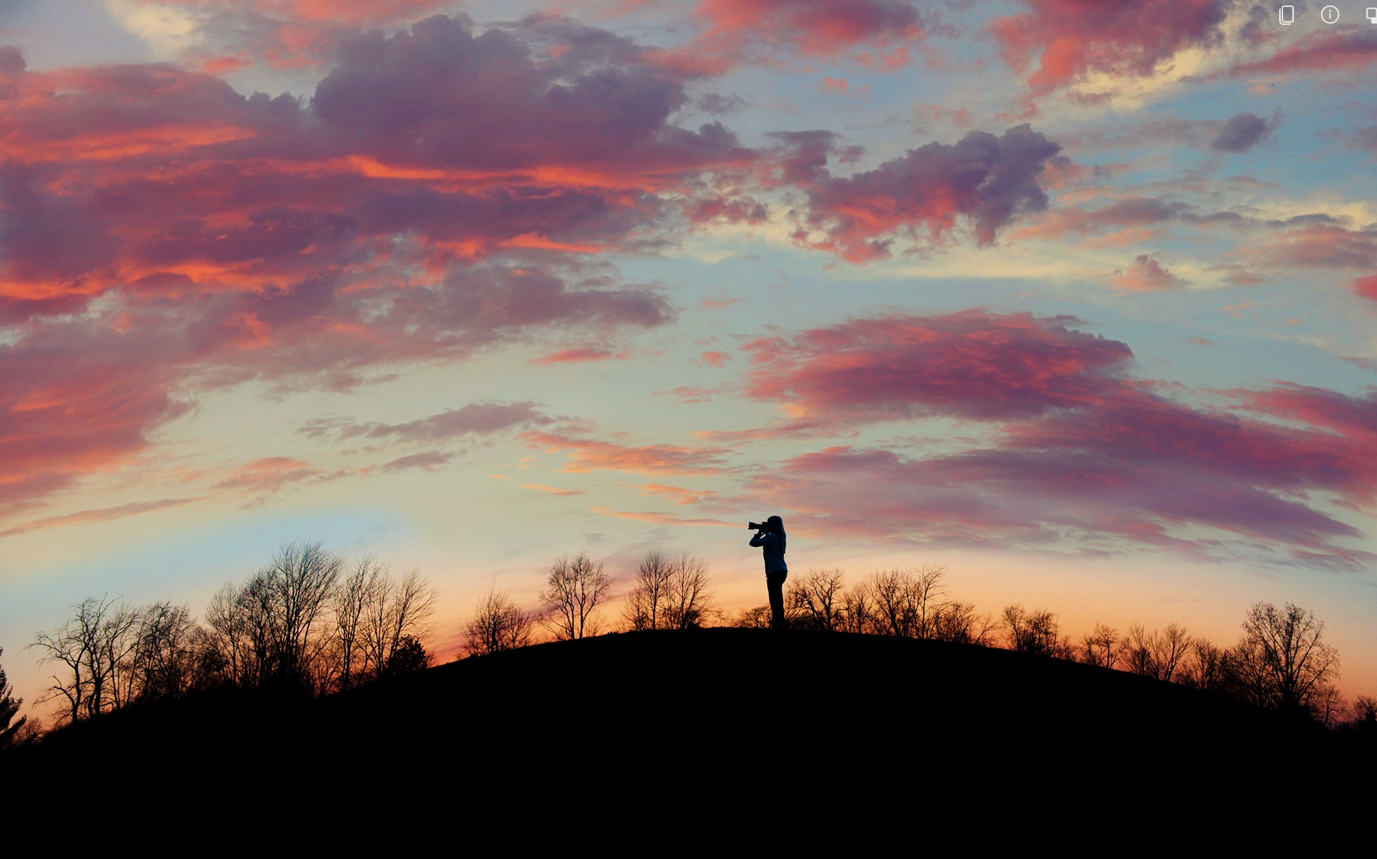 screenshot 2026 02 15 023947